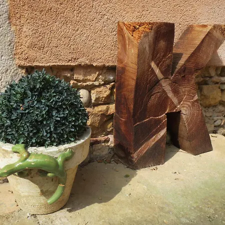 Bed & Breakfast La Garenne Fareins